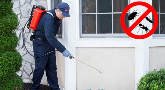 Doğanyol Kemirgen İlaçlama böcek ilaçlama ve haşere kontrolü — ilaclama-tr.com